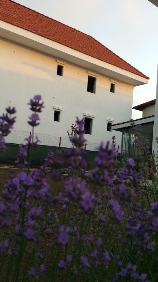 Sunny Border (Adults Only) Hotell Vama Veche Eksteriør bilde